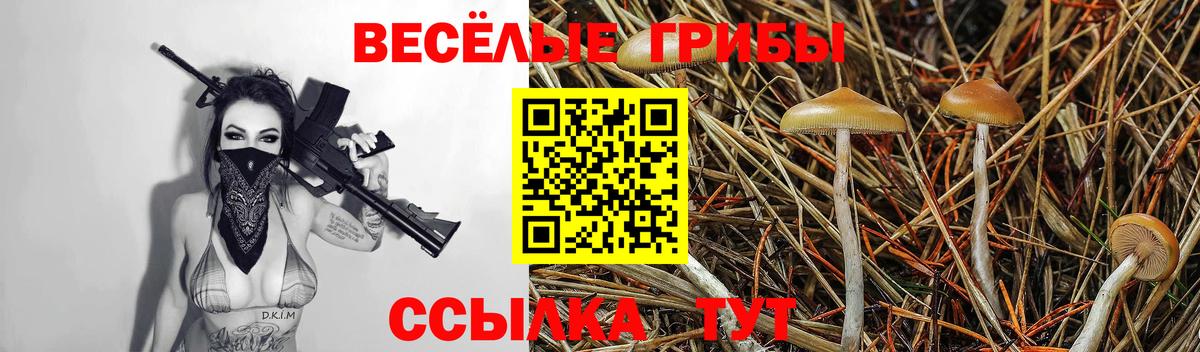 Галлюциногенные грибы Psilocybe  Псилоцибиновые грибы мицелий  Вход с VPN  Сердобск 