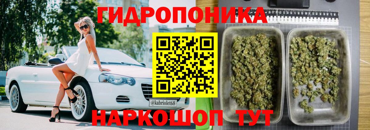 Канабис план Сердобск